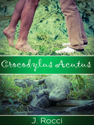 cover image of Crocodylus Acutus